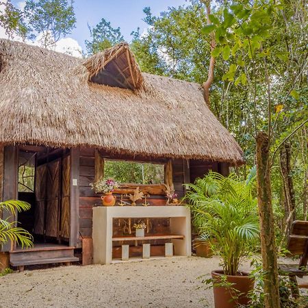 Madre Tierra Eco Habitat Guest House Puerto Morelos Bagian luar foto
