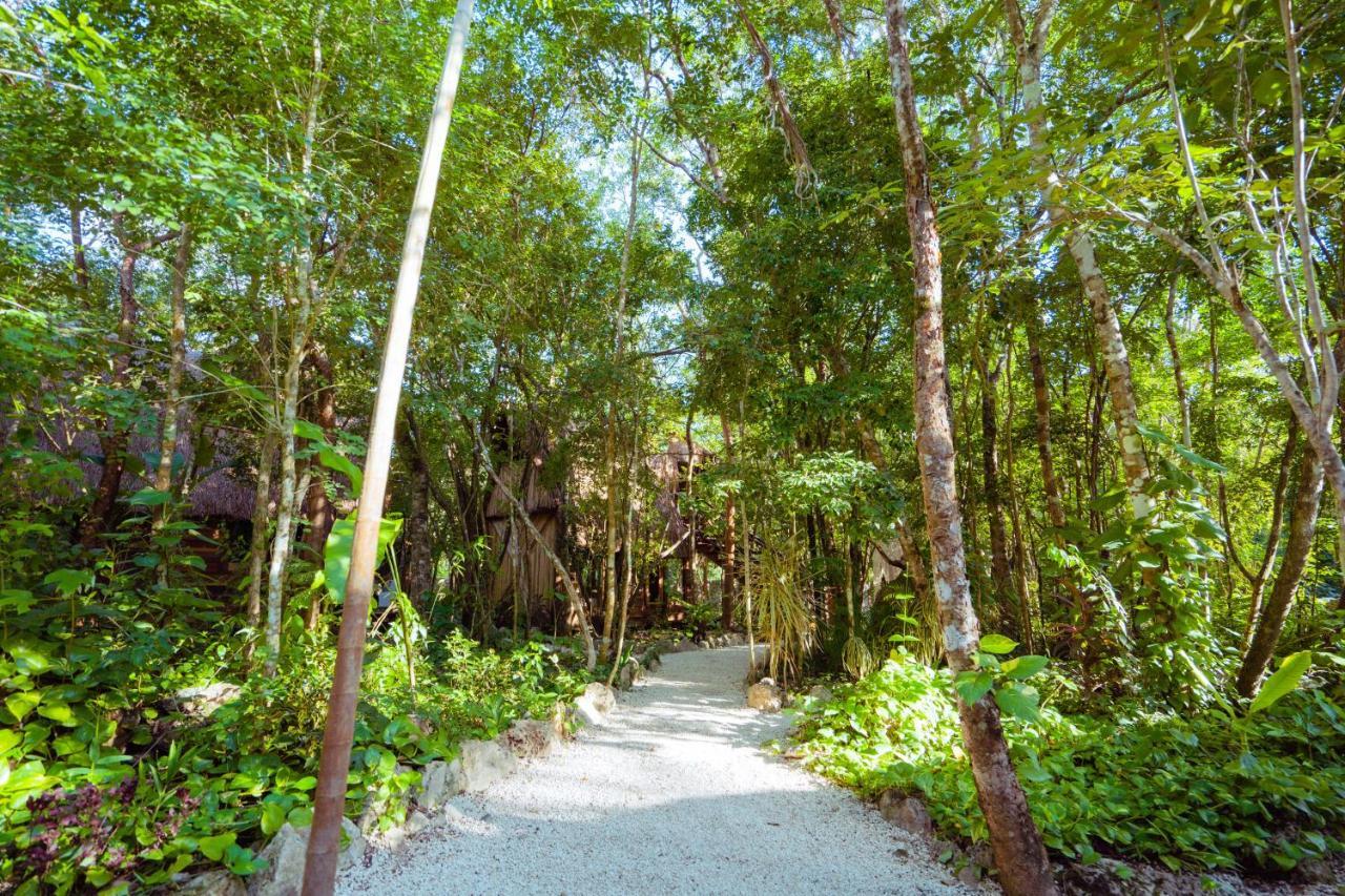 Madre Tierra Eco Habitat Guest House Puerto Morelos Bagian luar foto