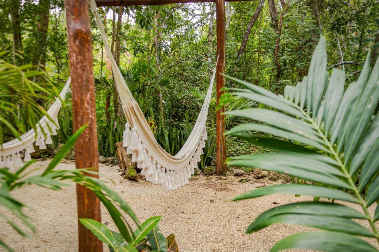 Madre Tierra Eco Habitat Guest House Puerto Morelos Bagian luar foto