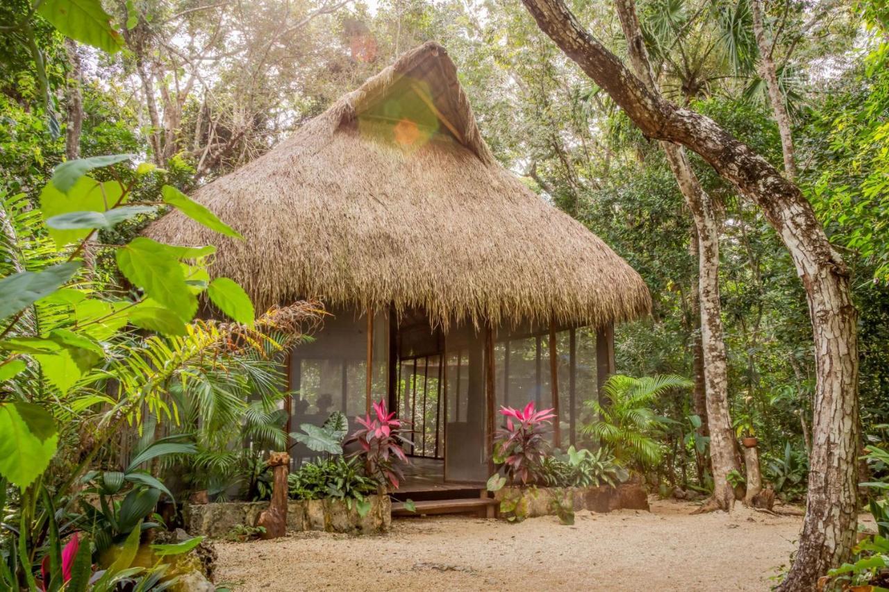 Madre Tierra Eco Habitat Guest House Puerto Morelos Bagian luar foto