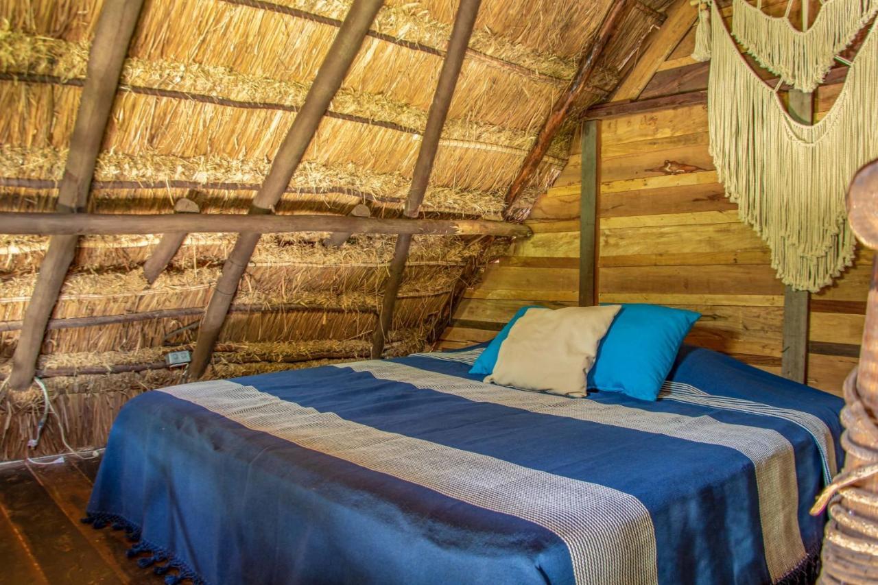 Madre Tierra Eco Habitat Guest House Puerto Morelos Bagian luar foto