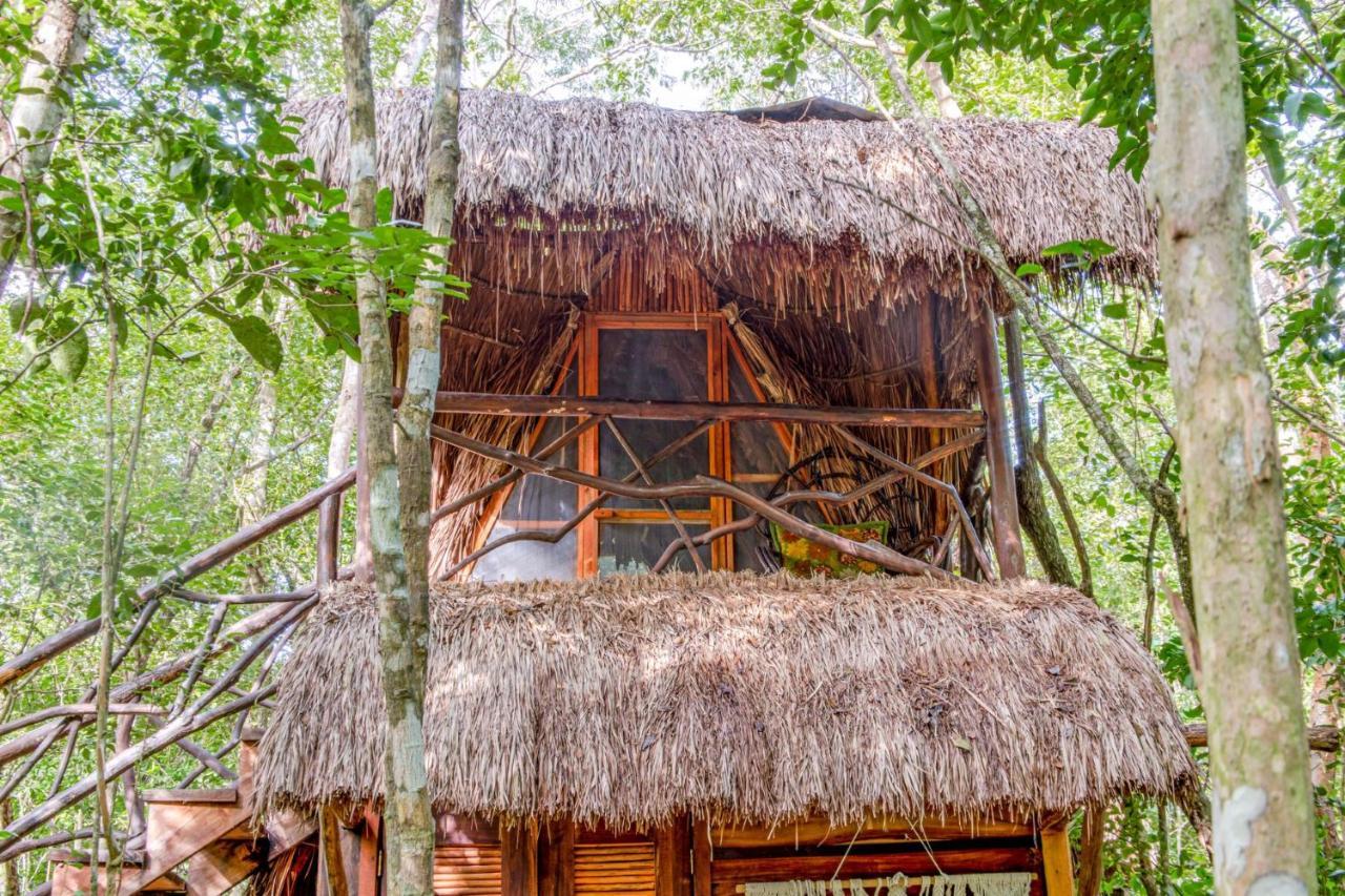 Madre Tierra Eco Habitat Guest House Puerto Morelos Bagian luar foto