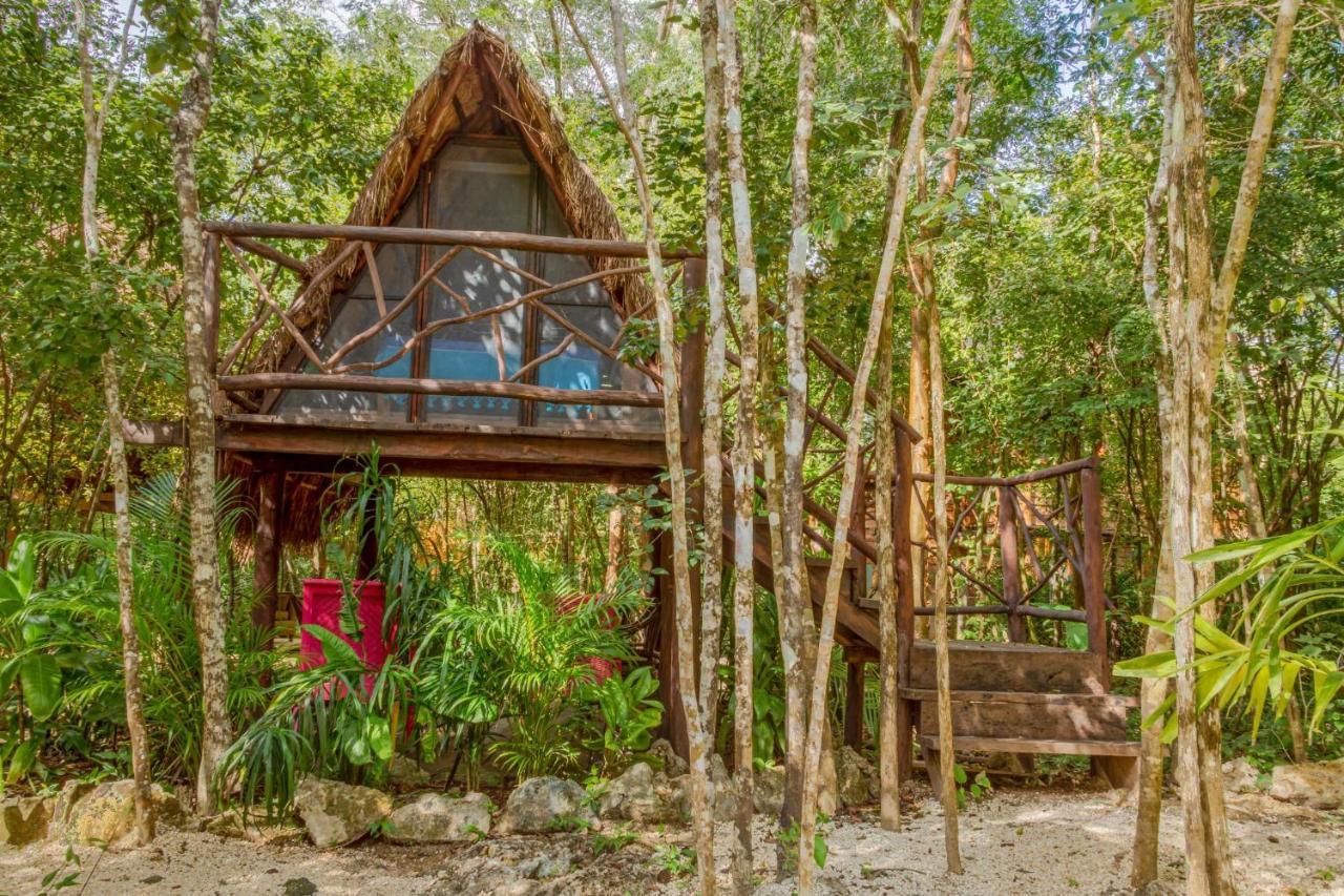 Madre Tierra Eco Habitat Guest House Puerto Morelos Bagian luar foto
