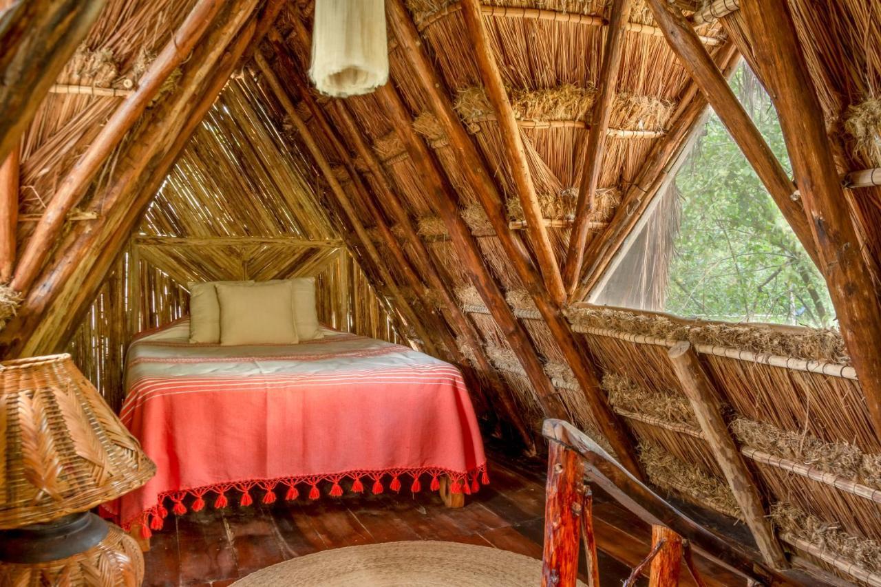 Madre Tierra Eco Habitat Guest House Puerto Morelos Bagian luar foto