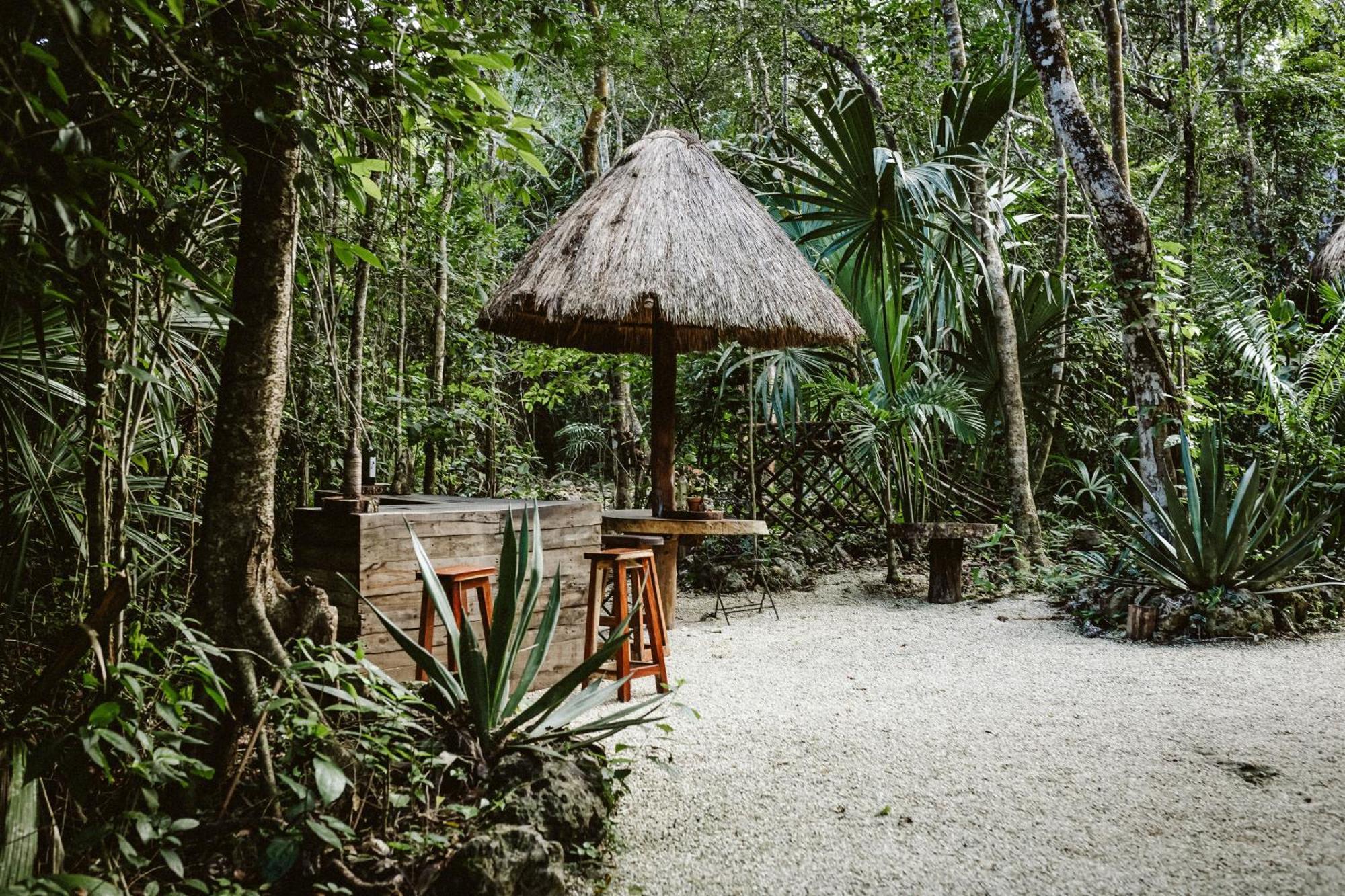 Madre Tierra Eco Habitat Guest House Puerto Morelos Bagian luar foto
