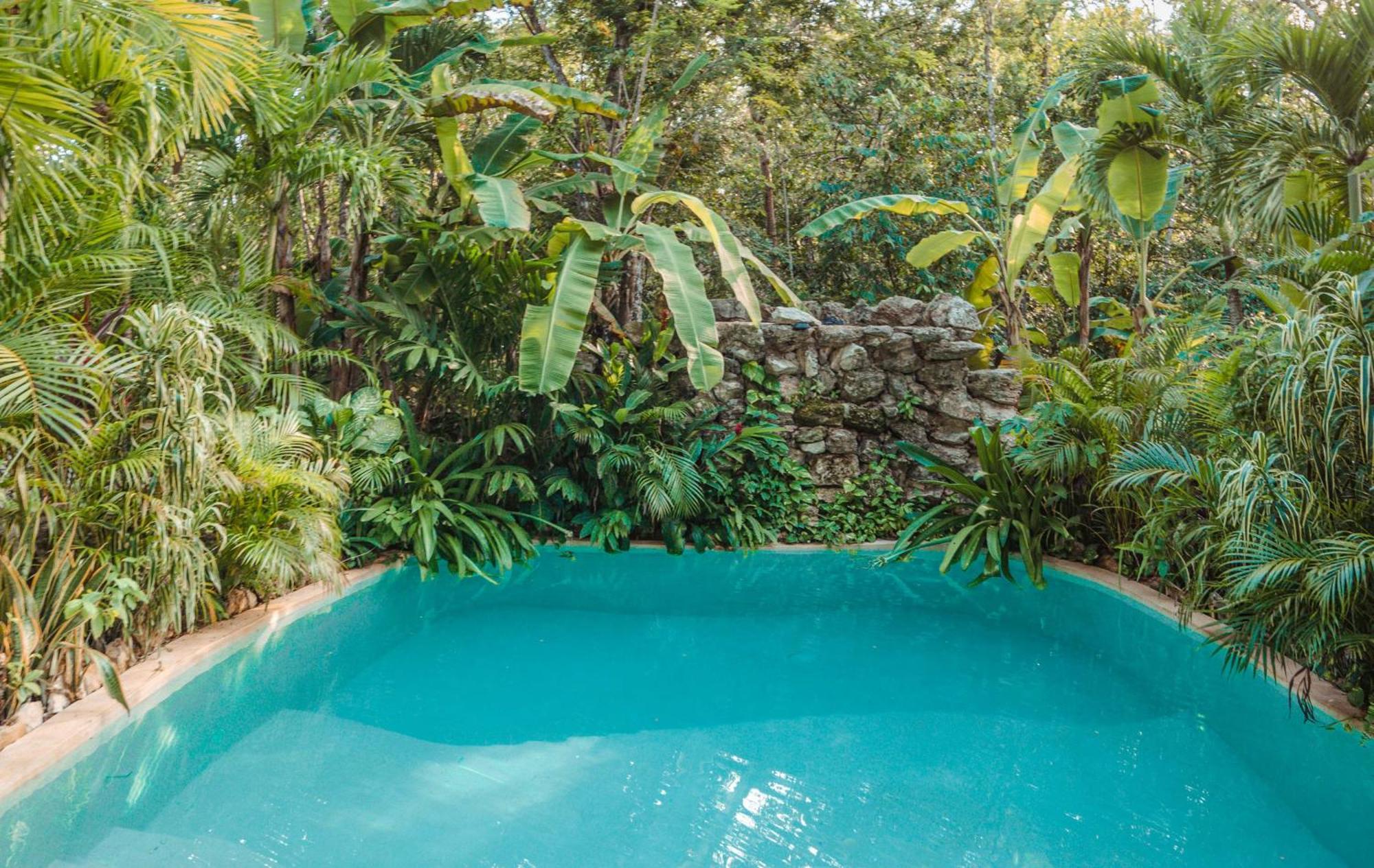 Madre Tierra Eco Habitat Guest House Puerto Morelos Bagian luar foto