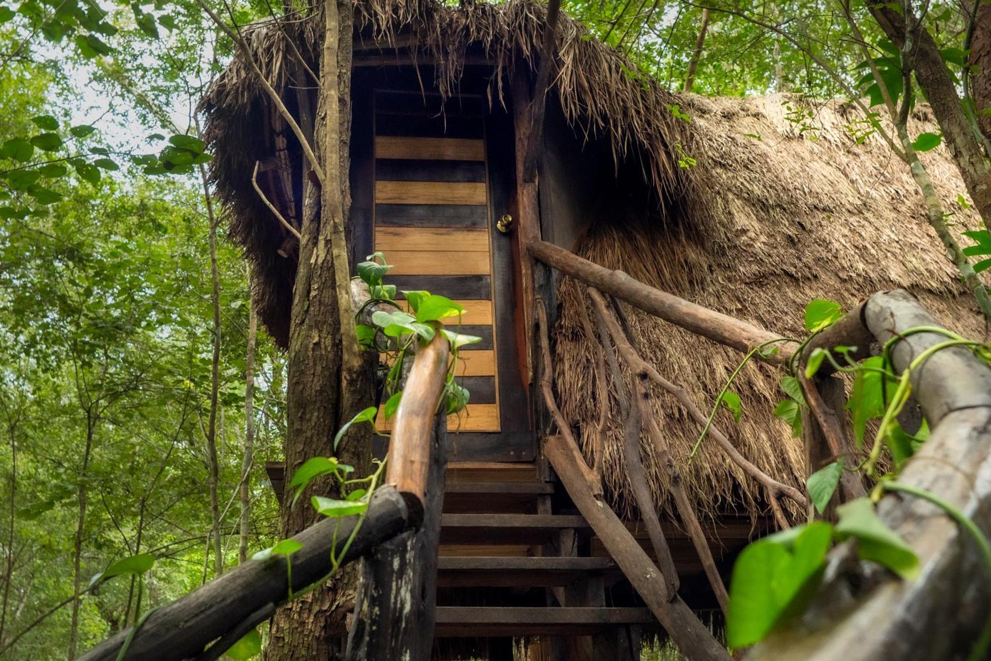Madre Tierra Eco Habitat Guest House Puerto Morelos Bagian luar foto